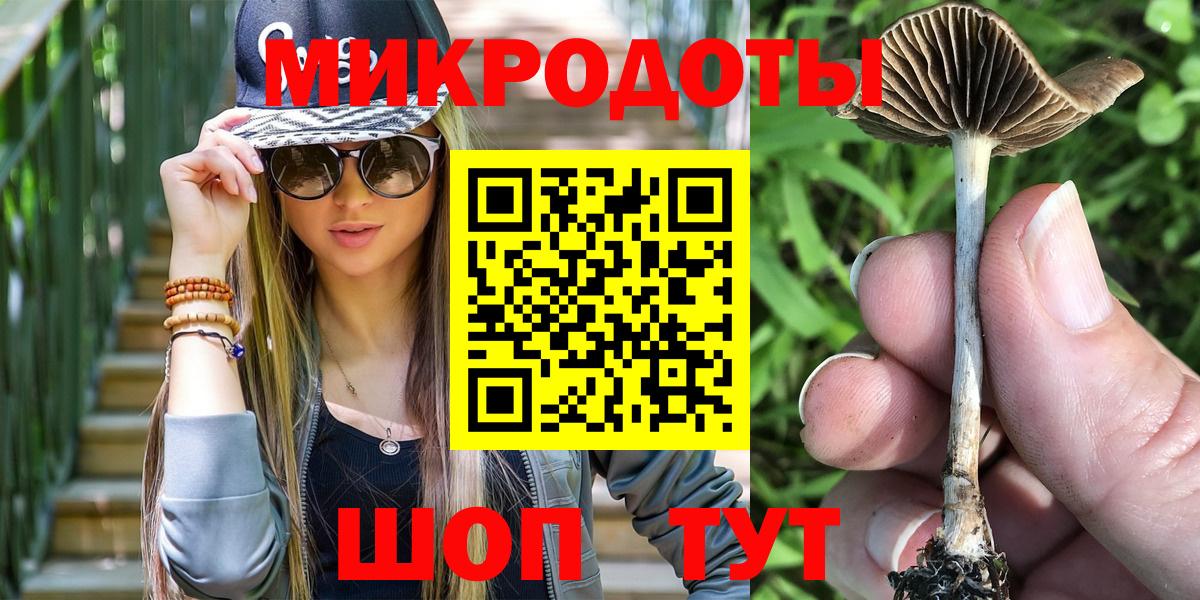 Псилоцибиновые грибы мицелий Рославль