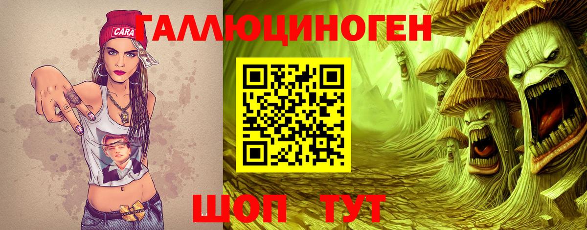 Рославль  Псилоцибиновые грибы MAGIC MUSHROOMS  Вход с VPN 